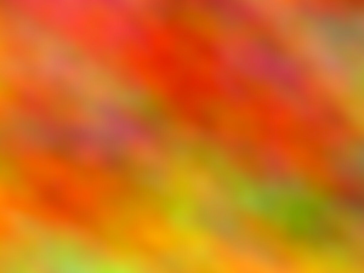 Argentinsk asado-grill med olika köttbitar