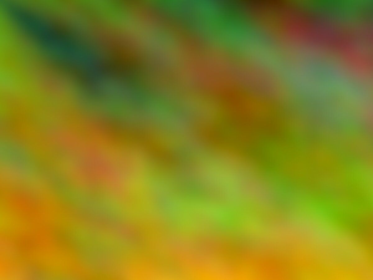 Grönt chimichurri i skål med träsked